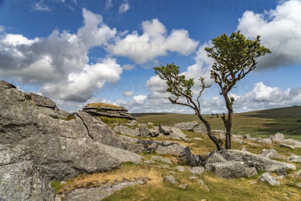 Landscape at the rock formation King's Tor tor in Dartmoor, Devon, England, Great Britain