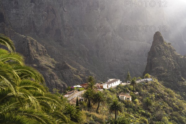 Masca mountain village and the gorge in the Teno Mountains, Masca, Tenerife, Canary Islands, Spain,