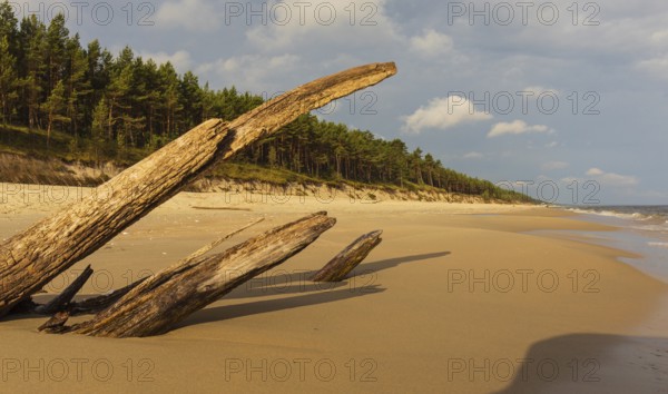 Beach at sunrise, close to Stegna, a village in Nowy Dwór Gdanski County, Pomeranian Voivodeship,
