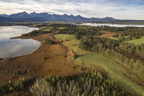 The Allgäu with Bannwaldsee, Forggensee and the Alps seen from the air, Schwangau, Allgäu, Bavaria,
