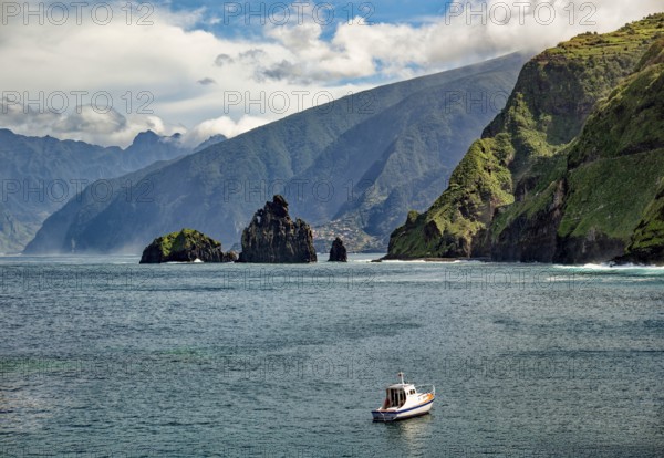 Coast, cliffs on the Atlantic Ocean in Porto Moniz, Madeira, Portugal, Europe