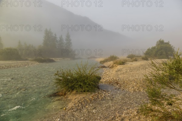 Isar valley nature conservancy area. The wild Isar river flows through its gravel bed past