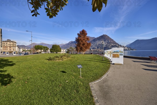 Belvedere garden, lake, park with lawn, trees, lakeside promenade, hill, Riva Vincenzo Vela street,