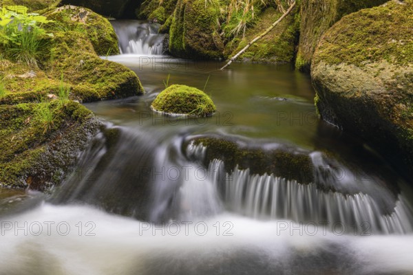 Kleine Ohe creek below Waldhaeuser village in the Bavarian Forest Nationalpark. Flowing water,