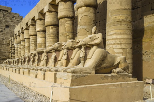 Karnak Temple Complex, Luxor, Egypt, Africa