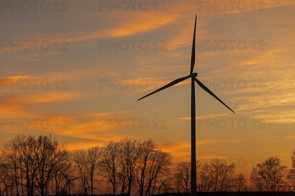 Sunset, wind power plant, trees, silhouettes, Melbeck, Samtgemeinde Ilmenau, Lower Saxony, Germany,