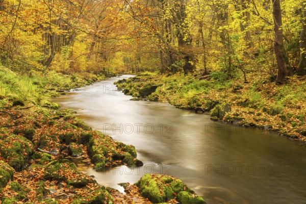 Autumn by the Schwarza river in the Schwarzatal nature reserve between Bad Blankenburg and