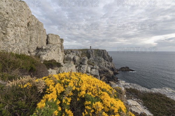Rocky coast of Camaret-sur-Mer in the Finistère department in northwestern France, with yellow