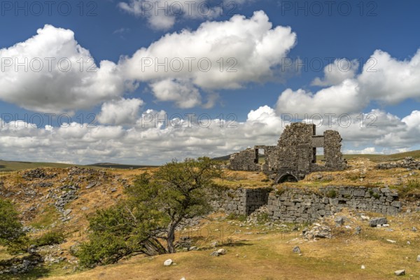 Ruin on Dartmoor, Devon, England, Great Britain