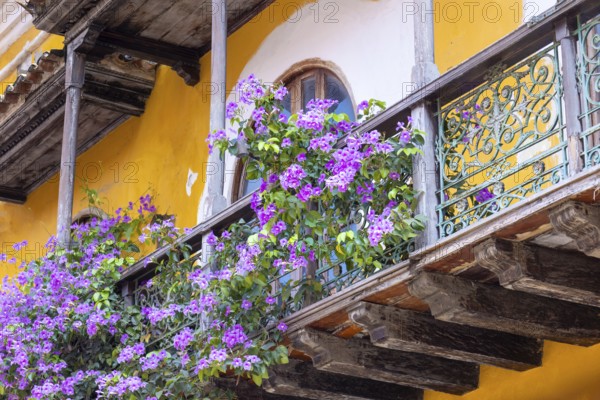 Columbia, Unesco site, colorful Cartagena Walled City Cuidad Amurrallada in historic city center.