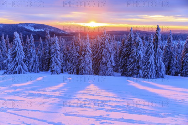 Sunset and winter landscape at the Wossecker Baude above Harrachsdorf in the Giant Mountains, Czech