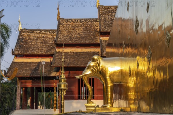 Elephant at the foot of the Golden Chedi Phrathatluang in the temple Wat Phra Singh, Chiang Mai,