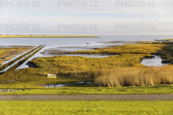 Mudflats on the south beach at low tide, in the background the south beach polder dyke, Norderney,