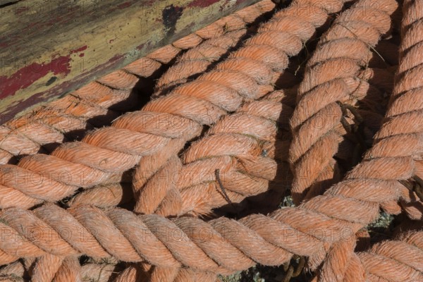 Close-up of old and worn heavy duty strong salmon colored rope on the ground, Monterosso, Cinque