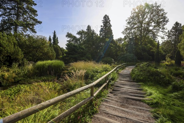 Essen, North Rhine-Westphalia, Germany - Path with wooden planks in the Heide Moor, a park in