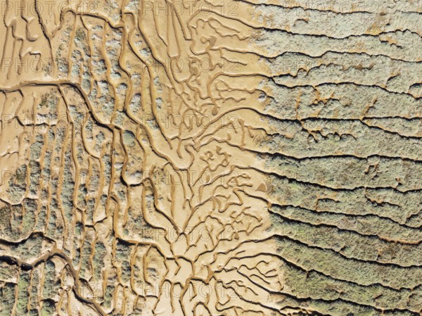 Network of channels and streams at low tide. In the marshland adjacent to the Odiel river. Aerial