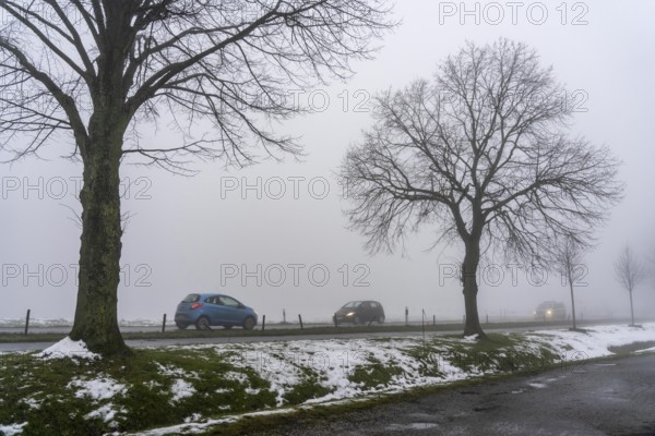 Dense fog, with visibility sometimes less than 100 metres, country road, Meisenburgstraße, in