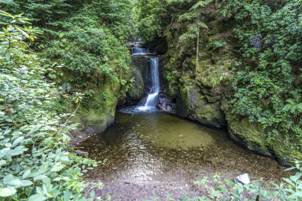 The Geroldsau Waterfall, Geroldsau, Baden-Baden, Baden-Württemberg, Germany, Europe