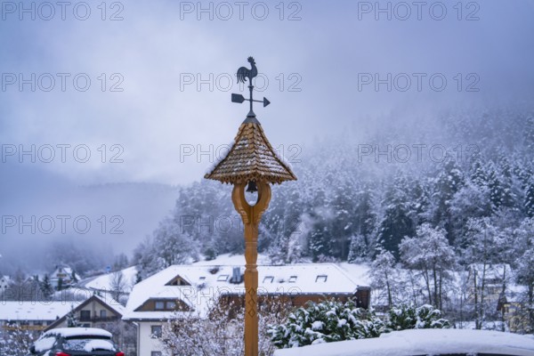 Weather vane in a wintry atmosphere in front of a snowy mountain landscape, Enzklösterle, Calw