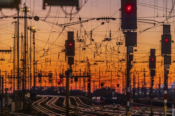 Track apron in the evening with sunset. Frankfurt am Main main station with rails, line mast and