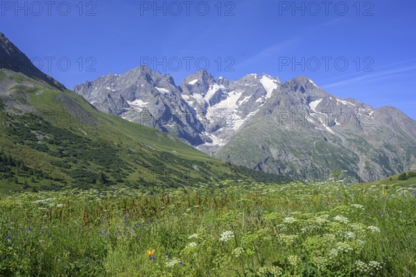 Pointe Piaget and La Meije seen from the botanical garden Jardin du Lautaret, Villar-d'Arêne,