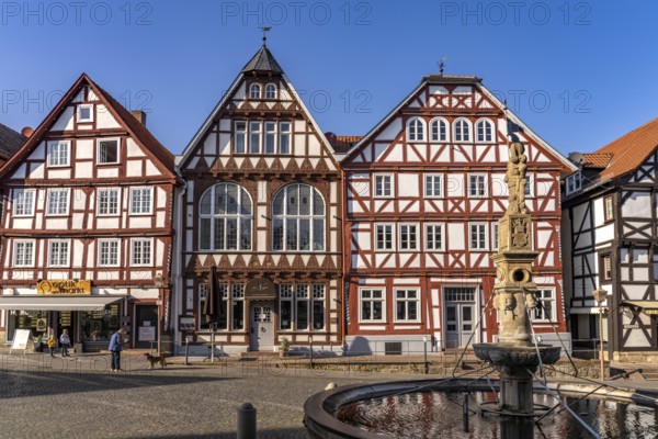 Half-timbered houses and Rolandsbrunnen fountain on the market square in Fritzlar, Schwalm-Eder
