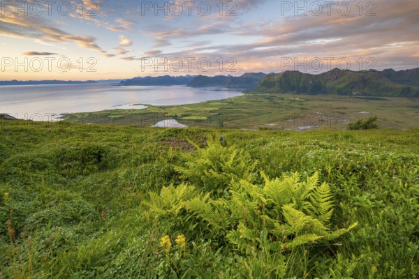 View of the coast and mountains from Mount Hoven, Gimsoy, Lofoten, Norway, Europe