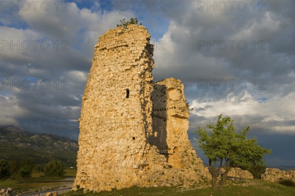Stone ruin and lonely tree under a cloudy sky in the late afternoon, Vecka kula, Vecka Kula,