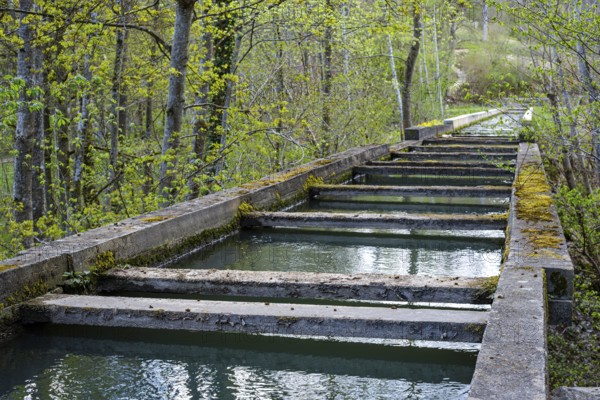 Swabian aqueduct over the Große Lauter in the Lauter valley between Unterwilzingen and Laufenmühle,