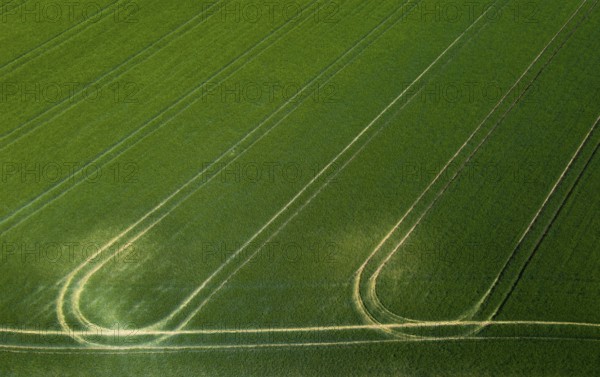 Drone image, grain field with lanes on the field, from above, agriculture, Innviertel, Upper