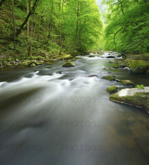 The River Bode with rapids and boulders in the Bode Valley between Thale and Treseburg, Harz
