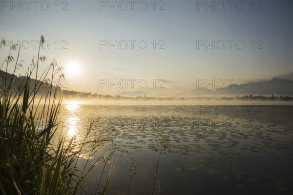 Sunrise, Hopfensee, near Fuessen, Ostallgaeu, Allgaeu, Upper Swabia, Swabia, Bavaria, Germany,