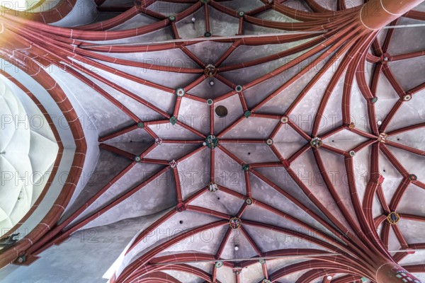 Star vault in the interior of the Catholic parish church of St Martin in the Ediger district,