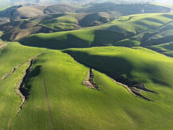 Undulated farmland and cracks caused by streams in the Campiña Cordobesa, the fertile rural area