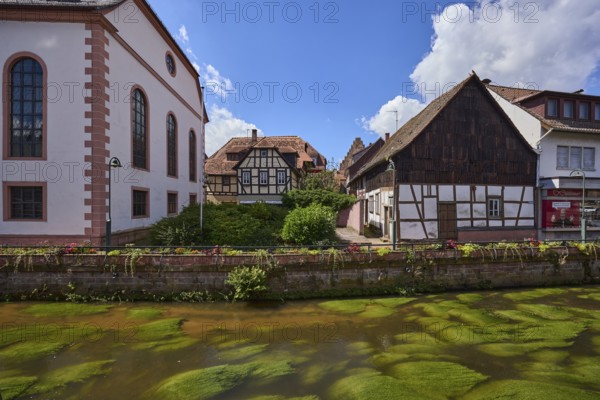 River Mümling, general development, half-timbered houses, Erbach town church, blue sky with fair