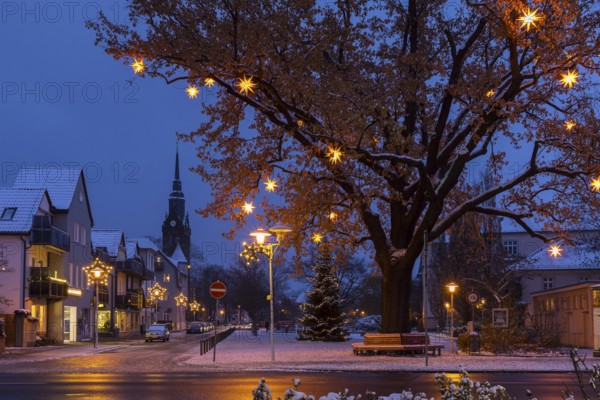 Oak tree on the snow-covered Wettinplatz with Herrnhut stars, star tree, in the background the New