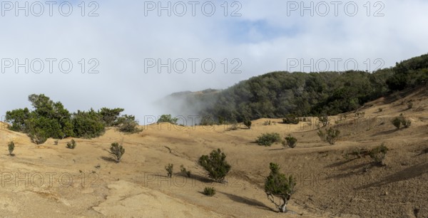 Clouds of fog, yellow earth, erosion, near Arguamul, La Gomera, Canary Islands, Spain, Europe