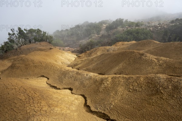 Clouds of fog, yellow earth, erosion, near Arguamul, La Gomera, Canary Islands, Spain, Europe
