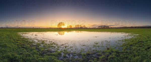 View of a large puddle in a field at sunset, panorama, landscape photo, nature photo, flora, fauna,