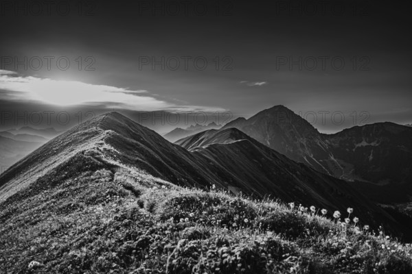 Hiking tour on the Hönig mountain in the Lechtal valley near Berwang in Tyrol, Austria, Europe