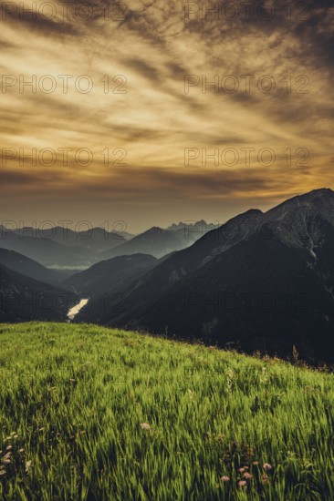 Hiking tour on the Hönig mountain in the Lechtal valley near Berwang in Tyrol, Austria, Europe