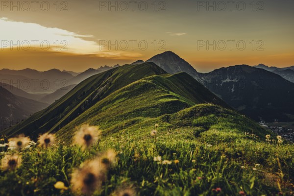 Hiking tour on the Hönig mountain in the Lechtal valley near Berwang in Tyrol, Austria, Europe