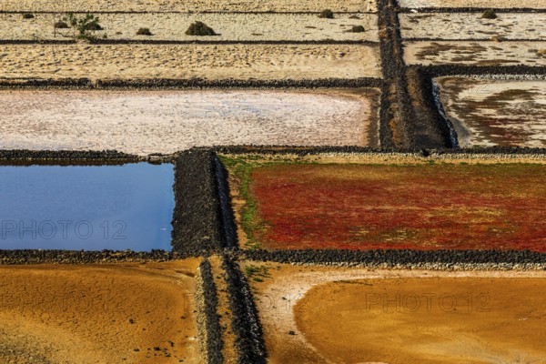 2016, Lanzarote, Salinas de Janubio, ESP, Spain, Canary Islands, Canary Islands, Atlantic Ocean,