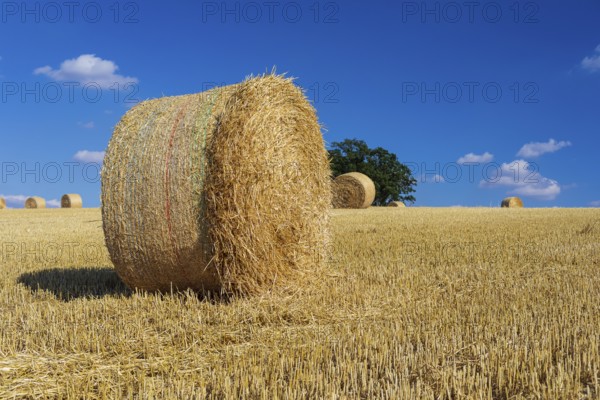 Straw bales on a harvested grain field, stubble field, Nossen, Saxony, Germany, Europe