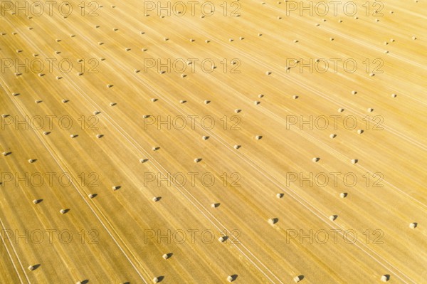 Straw bales on a harvested grain field from above, Nossen, Saxony, Germany, Europe