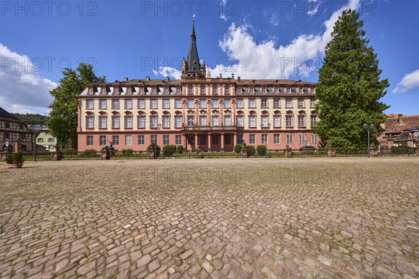 Erbach Castle, trees, cobblestones, blue sky with cumulus clouds, market square, Erbach, Odenwald,