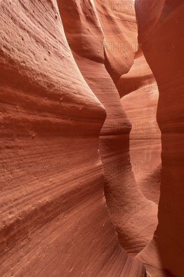 Antelope Canyon, narrow canyons of red sandstone with impressive plays of light and shadow,