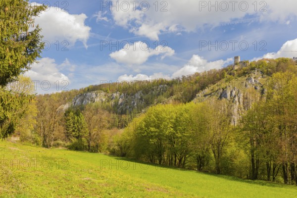 Randeck Castle is the ruin of a hilltop castle at 490 m above sea level on the northern edge of the