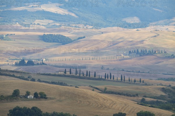Typical Tuscan landscape in Val d'Orcia with hills, trees, fields, farmhouses and cypresses in