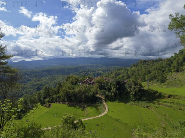 Rice fields, rice terraces, landscape near Limbong, Tana Toraja, Sulawesi, Indonesia, Asia